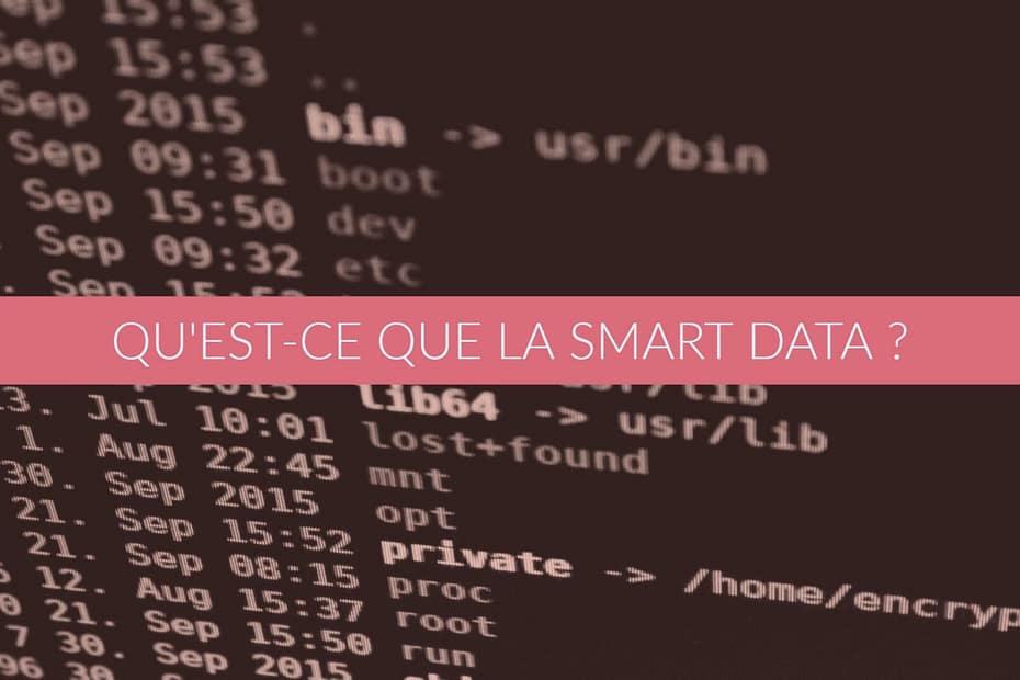 qu'est-ce que la smart data